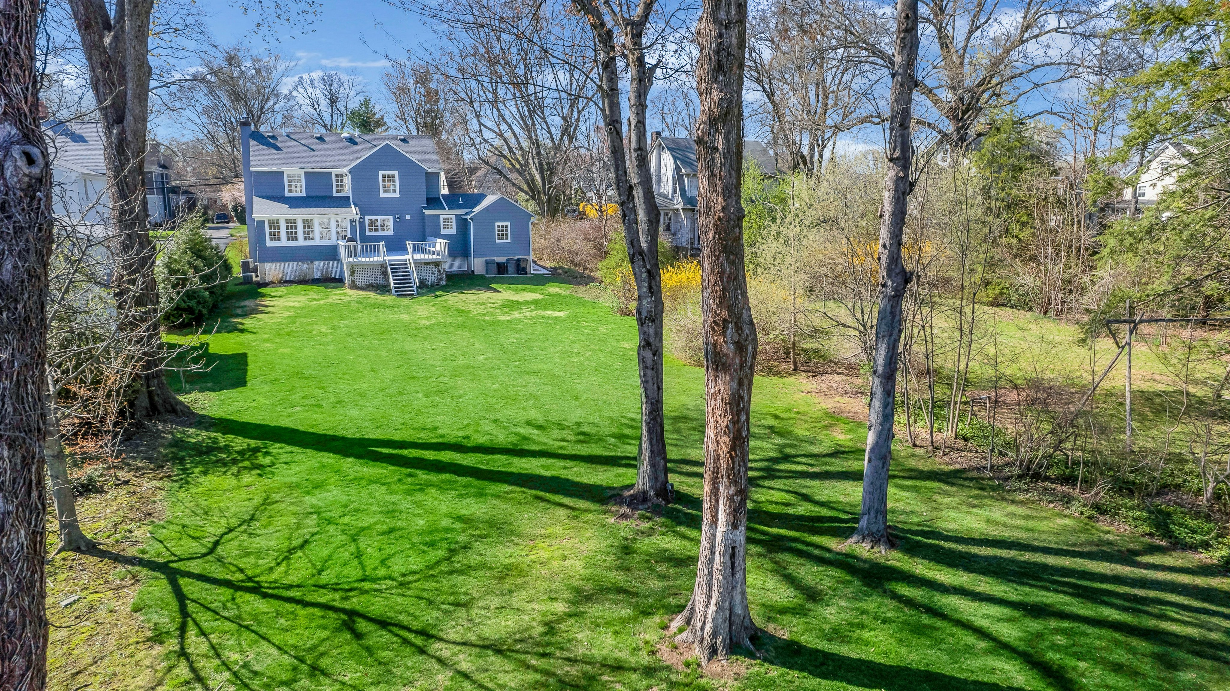 40 Elmwood Avenue 