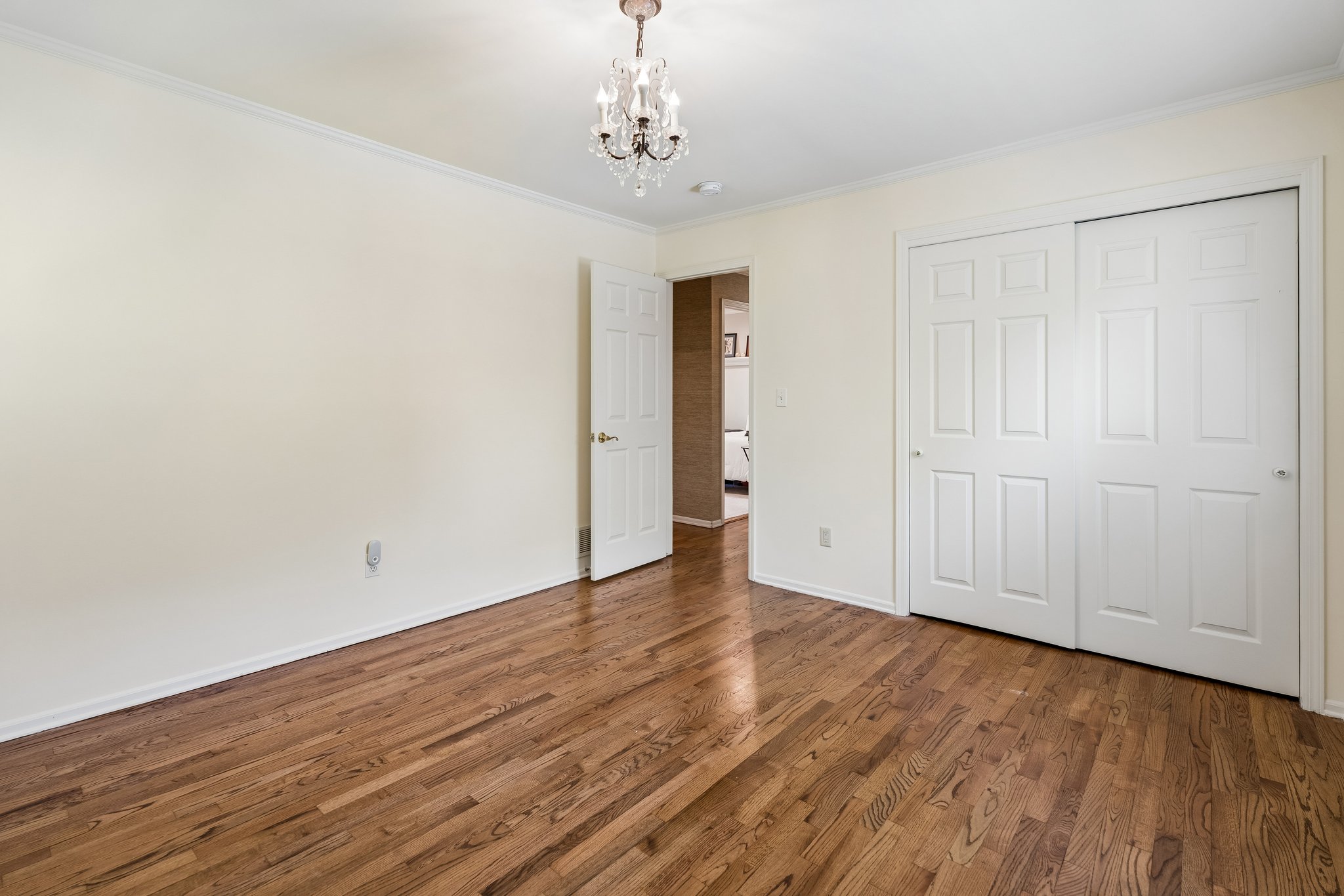 738 A Springfield Avenue 