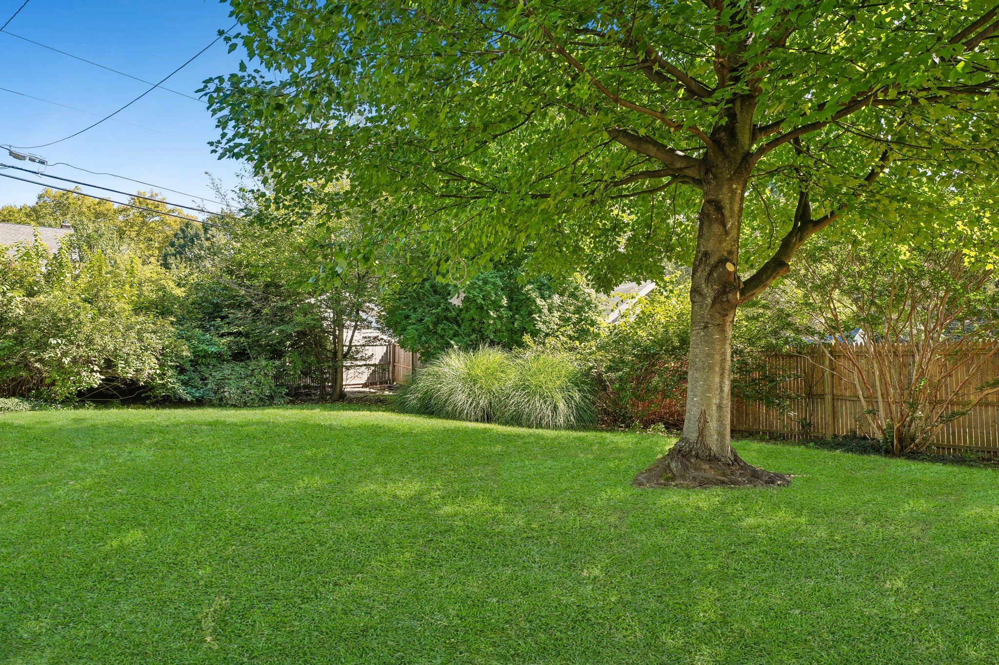 7 Tuxedo Road 