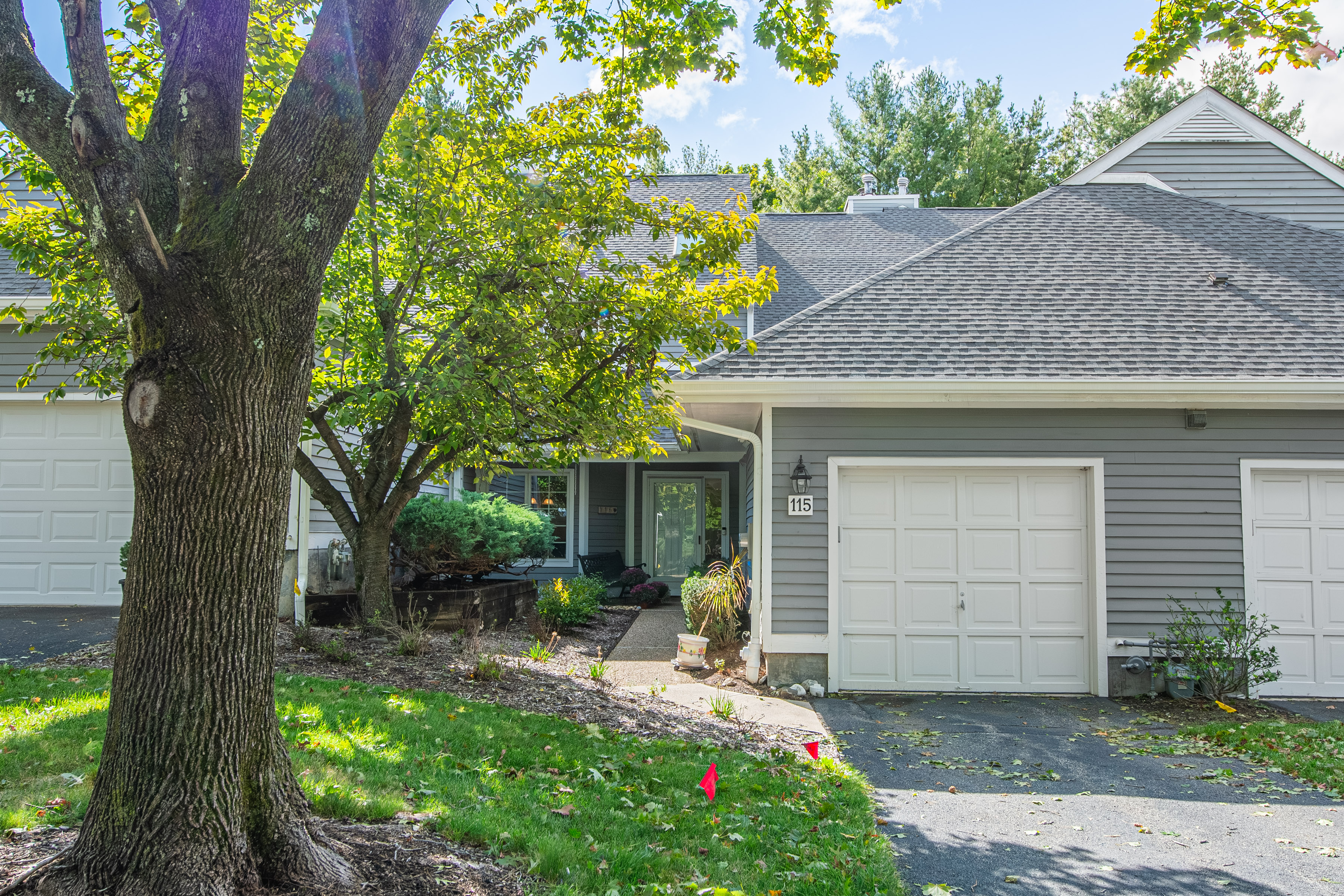 115 Ridge Drive 
