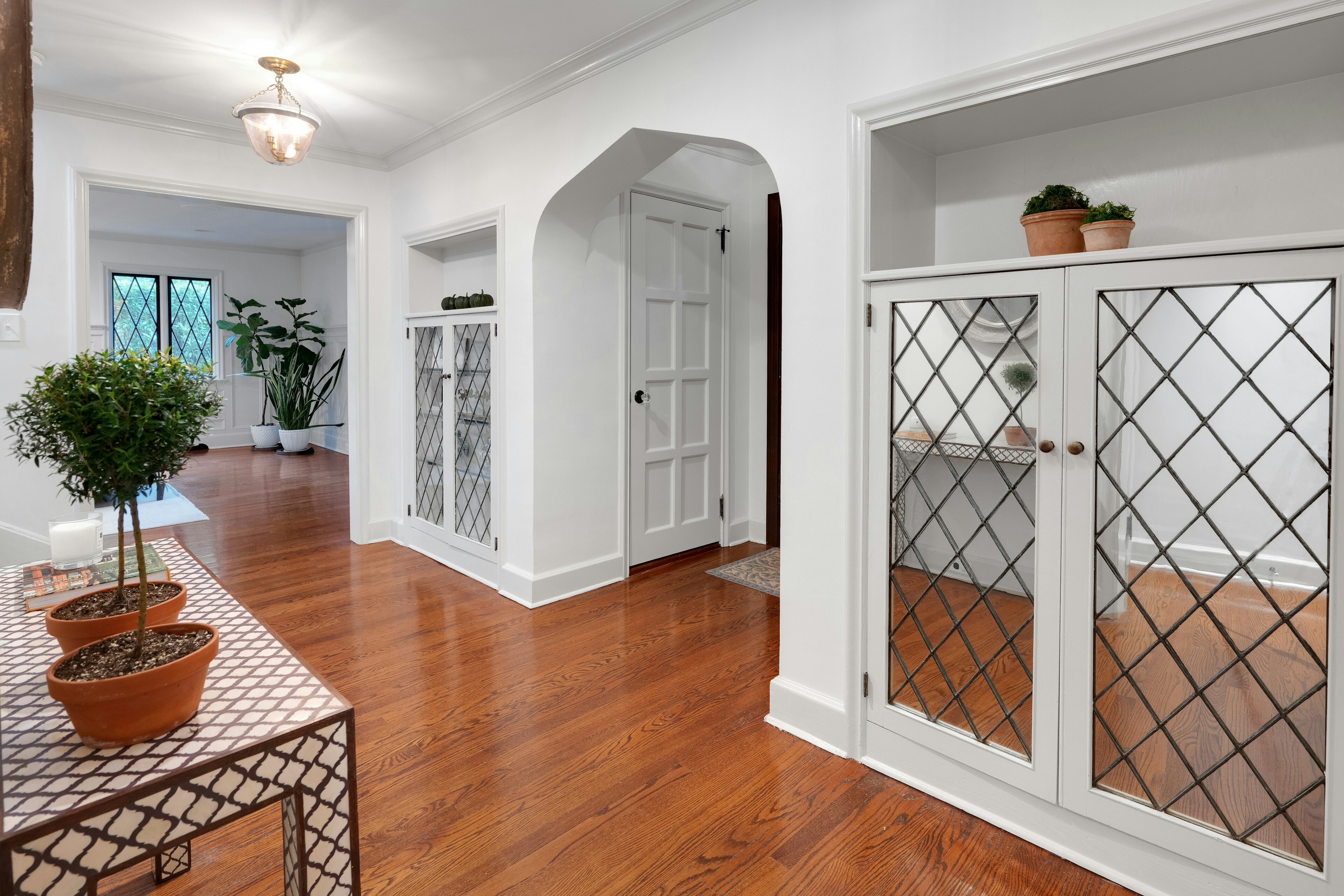 50 Druid Hill Road 
