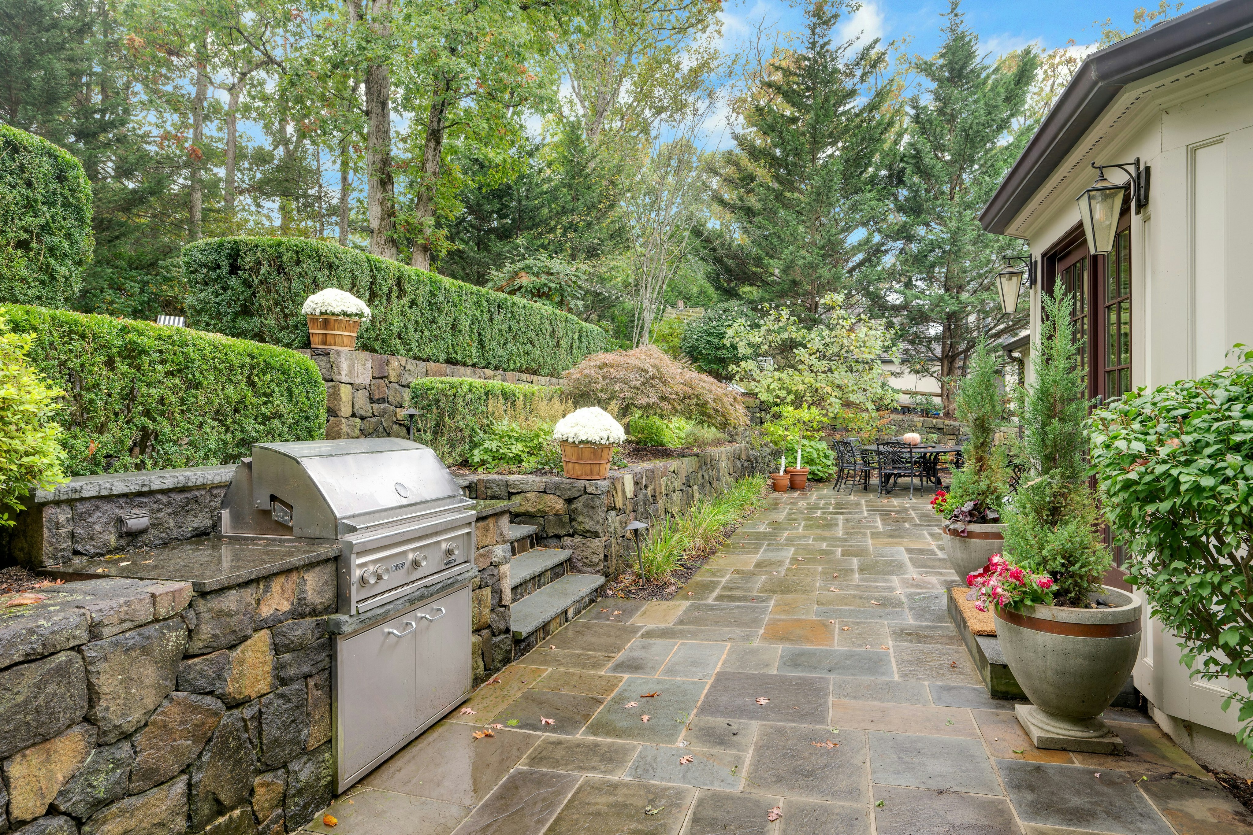 50 Druid Hill Road 