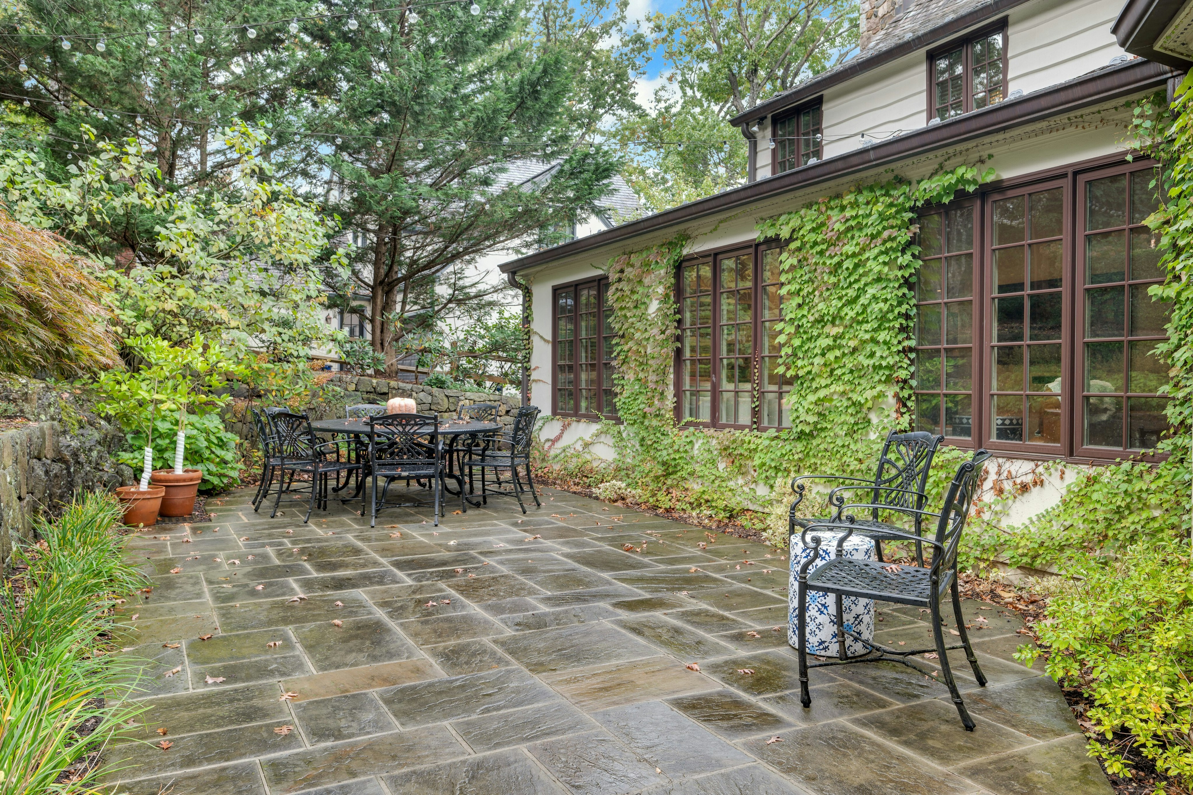 50 Druid Hill Road 