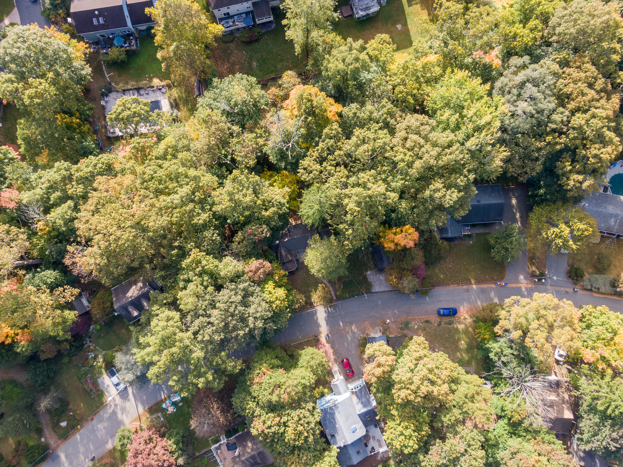 89 Bellot Road 