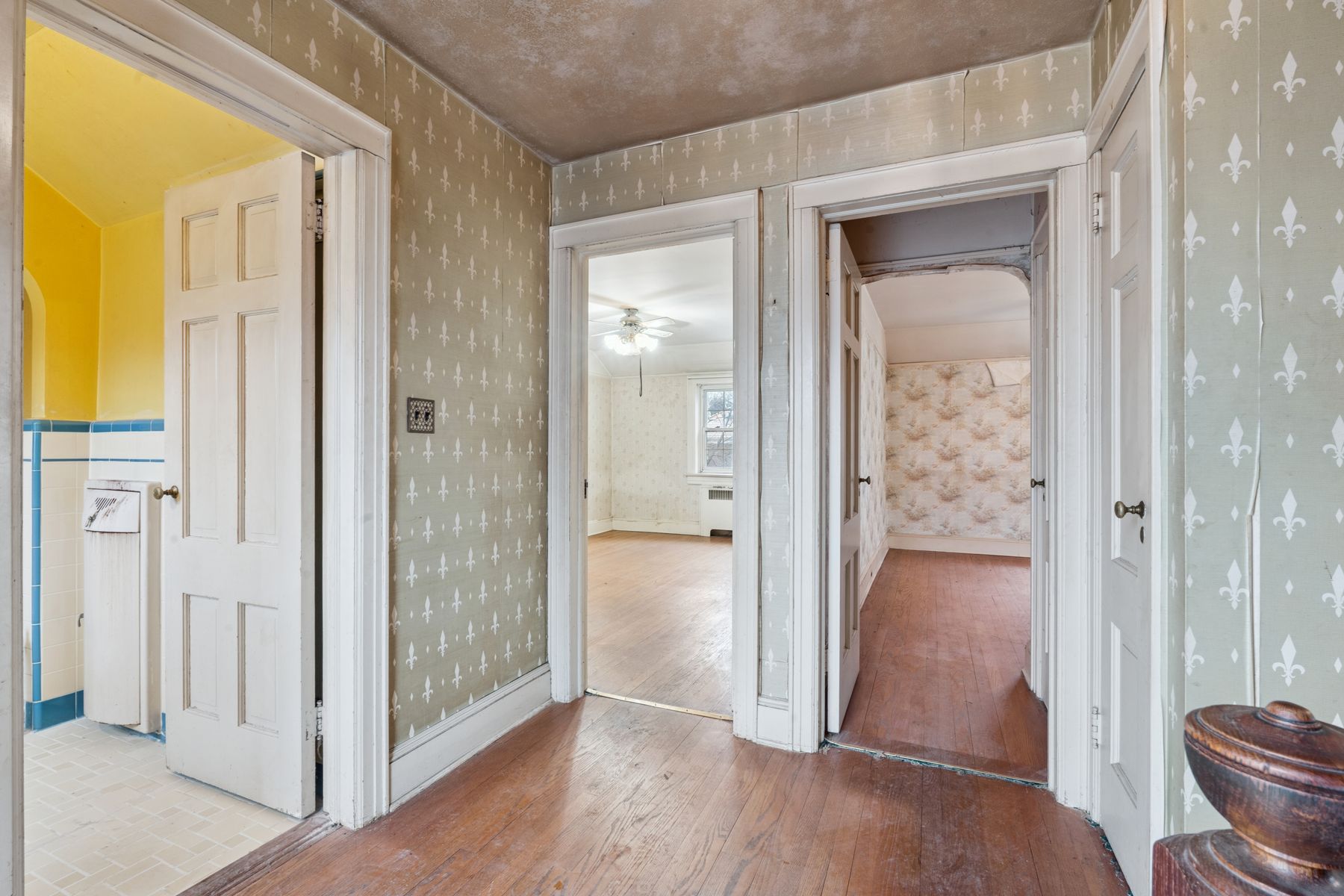 85-19 Radnor Street 