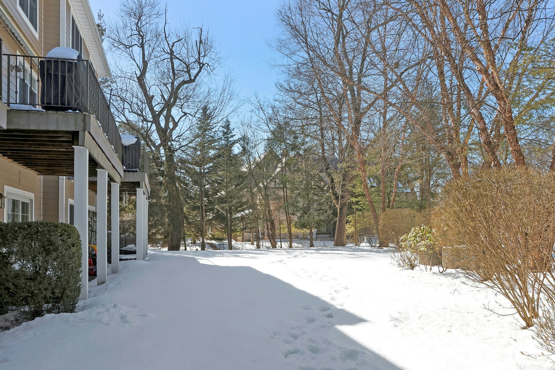 51 Lexington Court 
