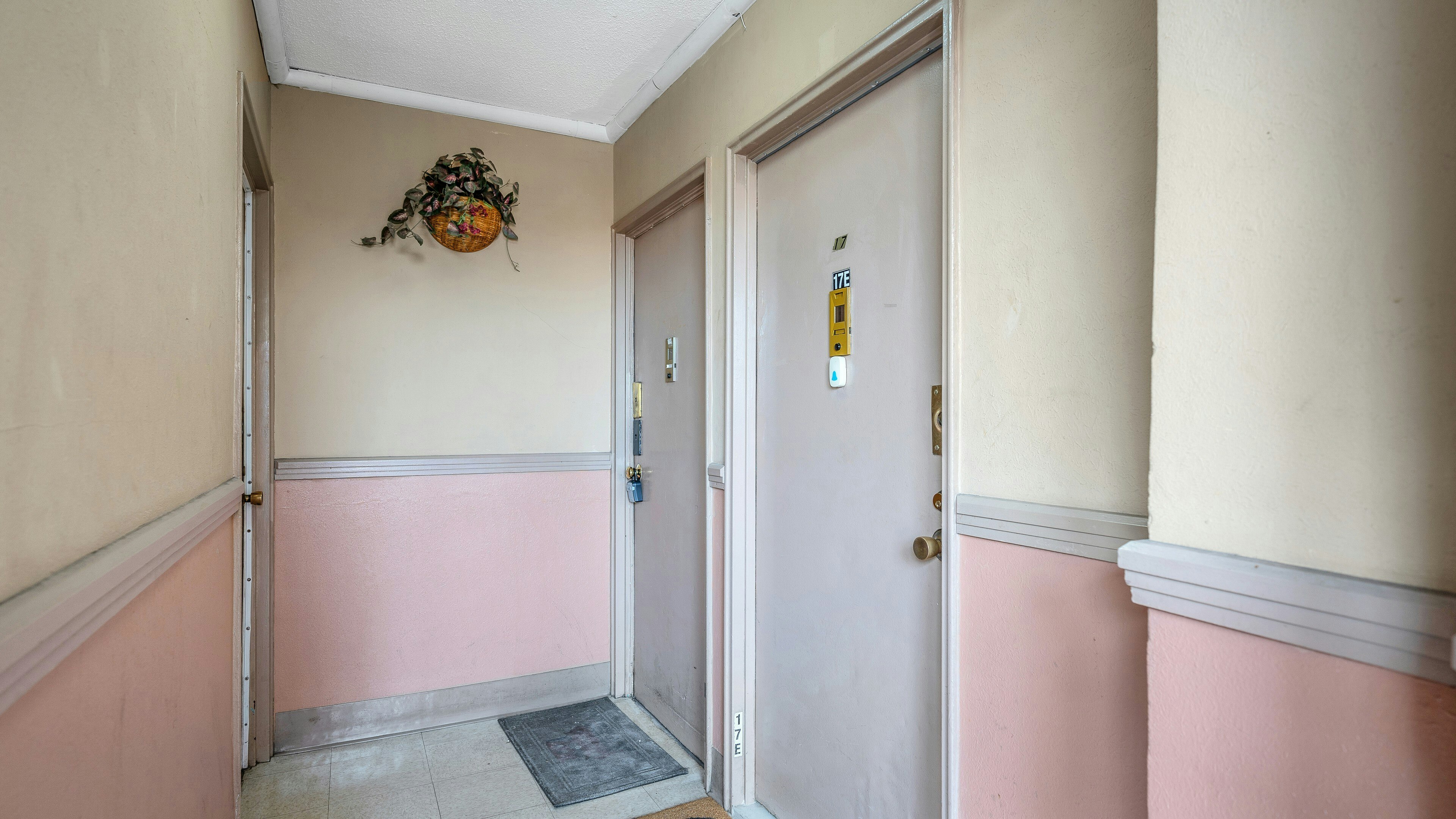 61-25 98th Street 