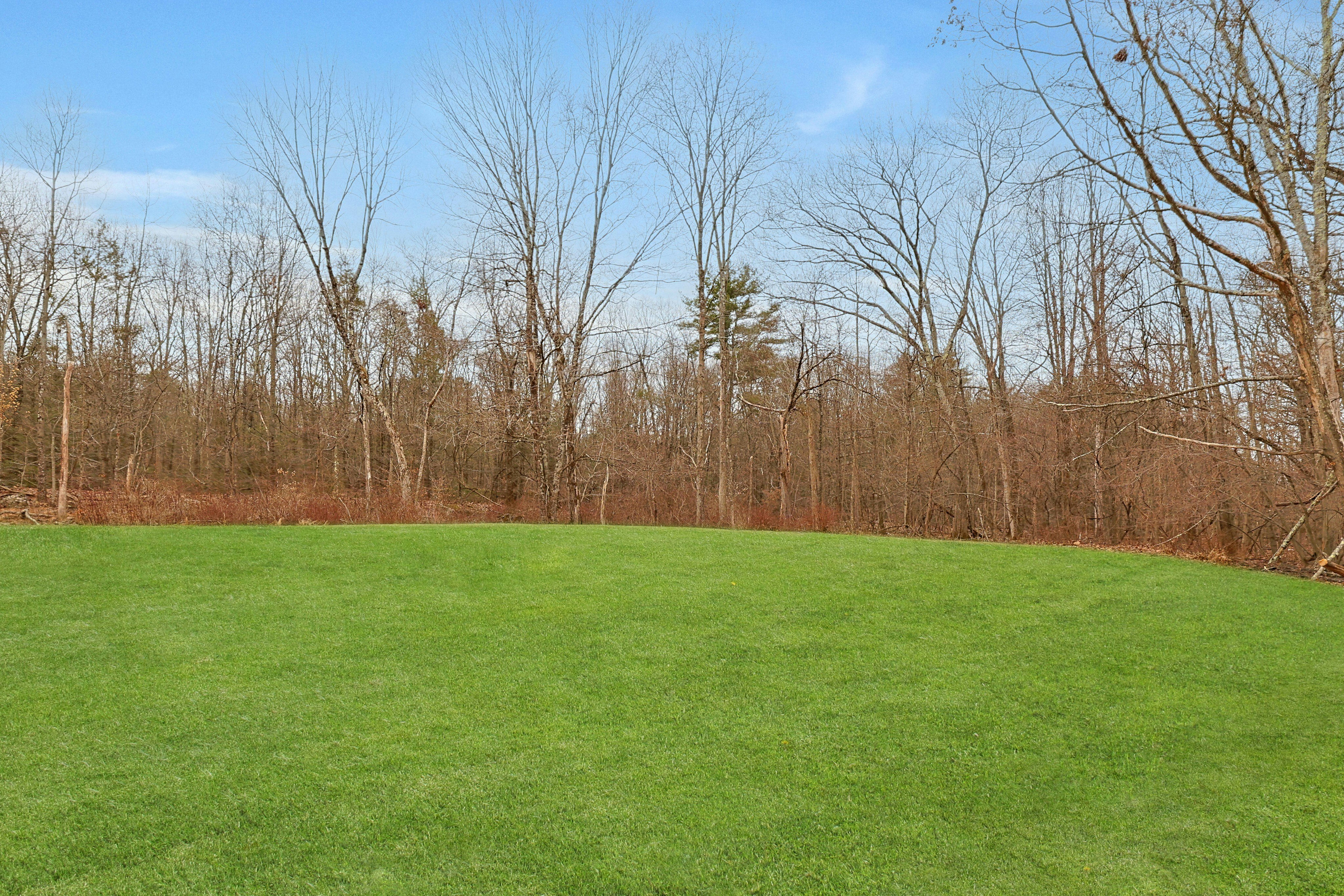 612 Shoddy Hollow Road 