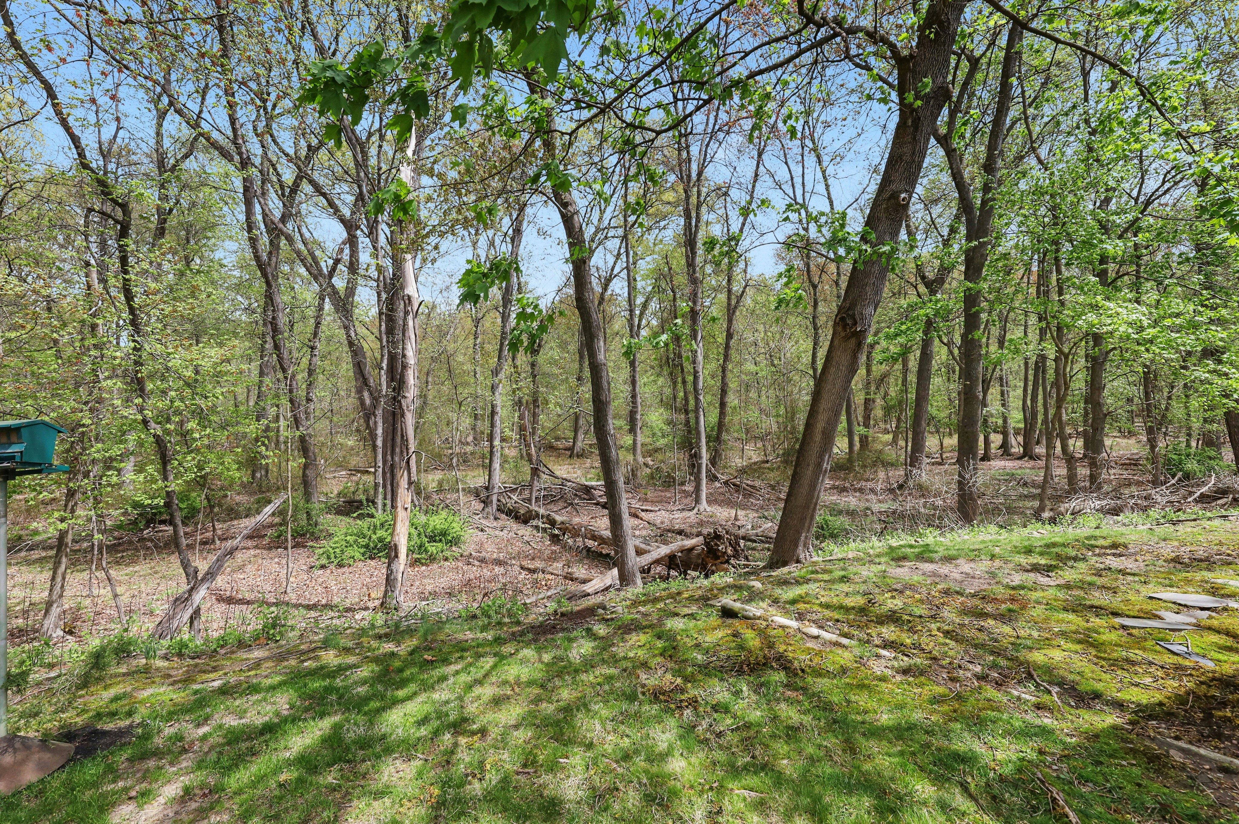 659 Newcomb Road 