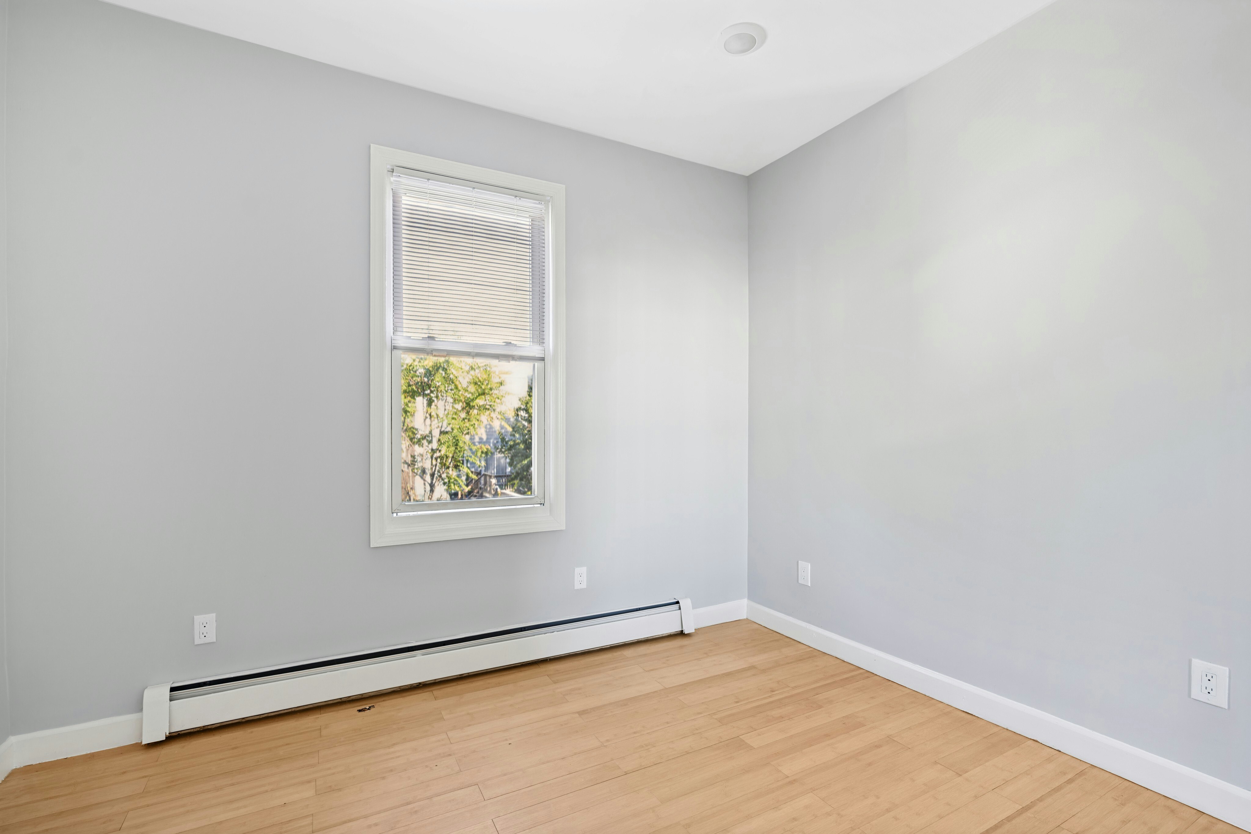344 Danforth Ave  #3 