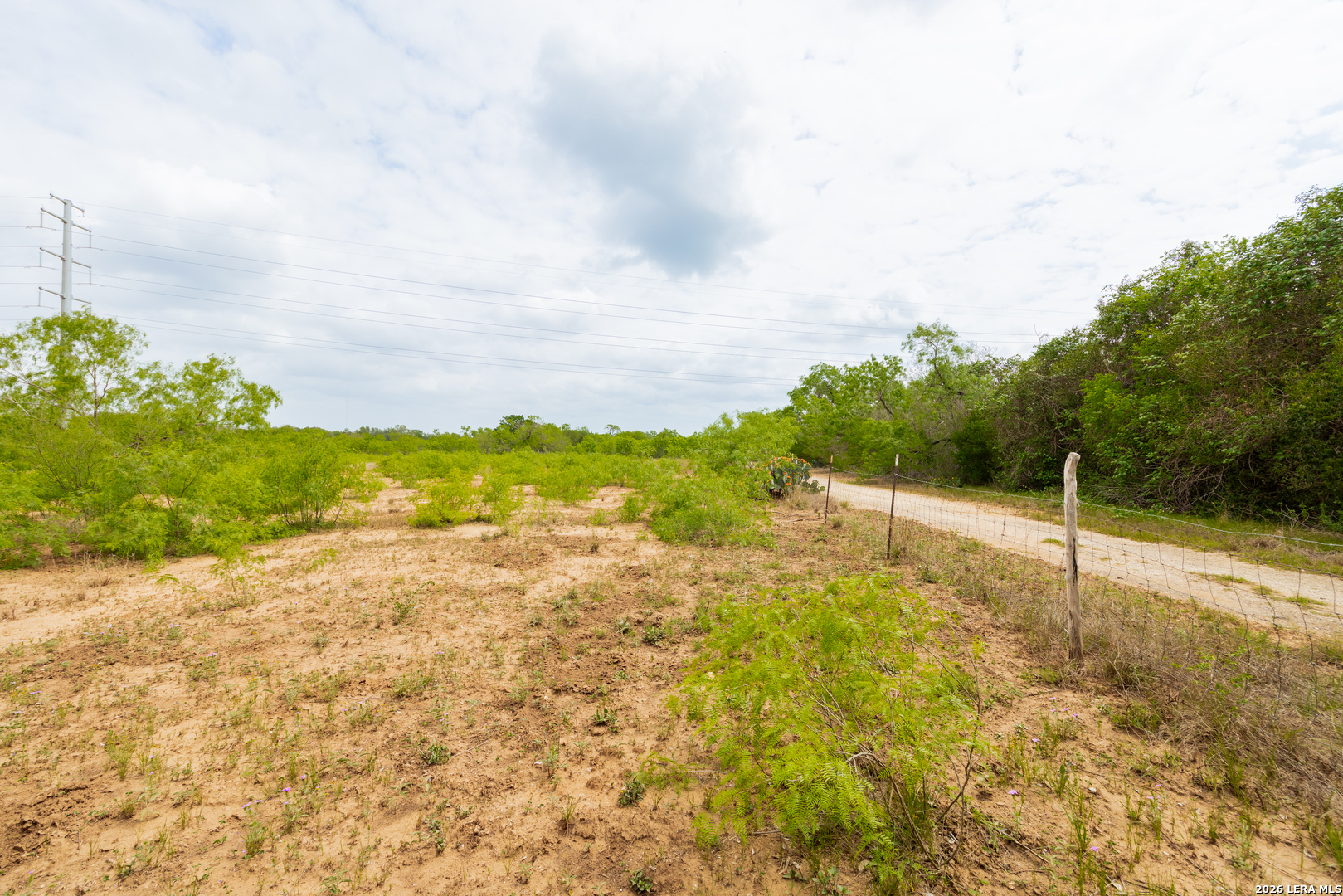 12488 S Us Highway 181