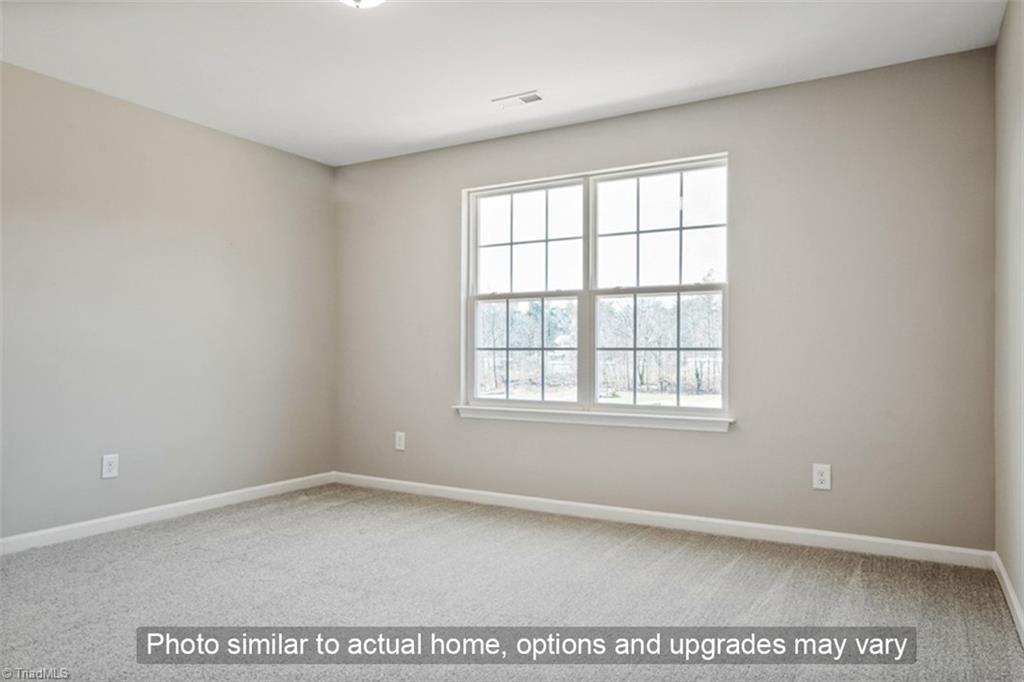 4009 Winding Vine Lane Lot 33