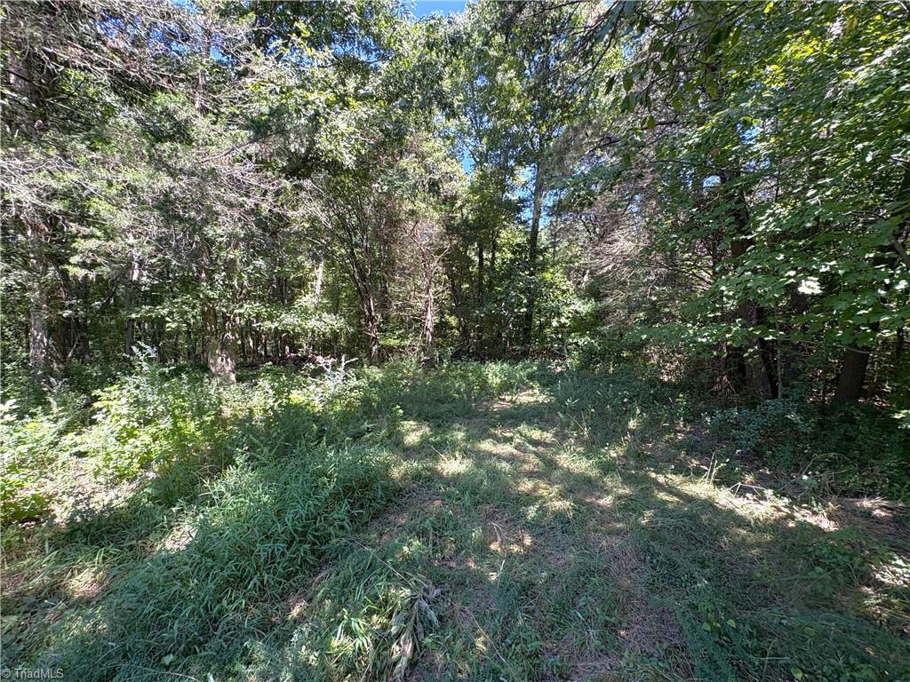 1193 Pleasant Ridge Road