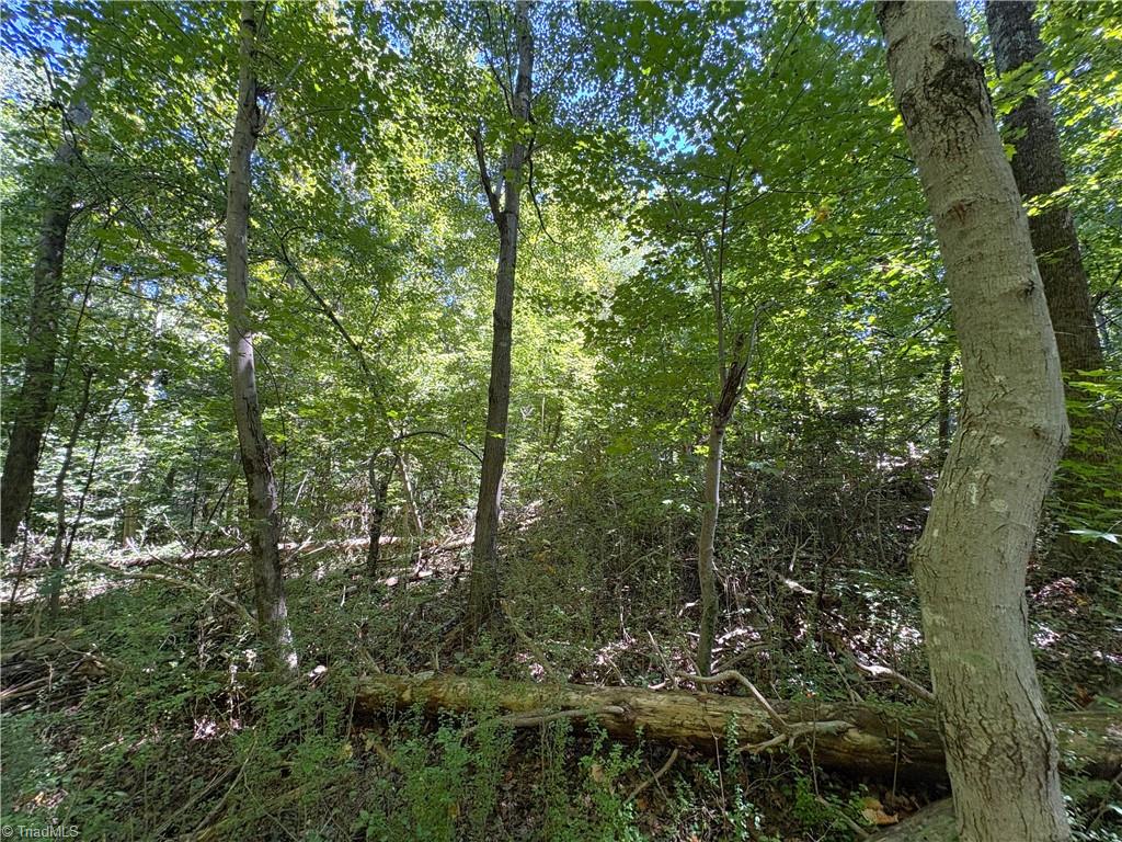 1193 Pleasant Ridge Road