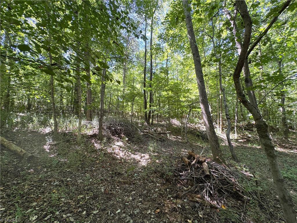 1193 Pleasant Ridge Road