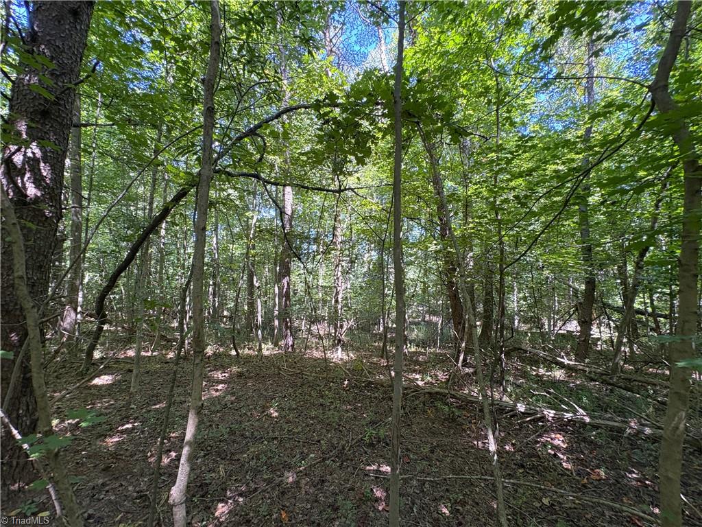 1193 Pleasant Ridge Road