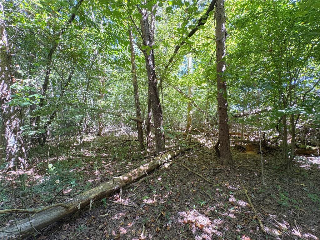 1193 Pleasant Ridge Road