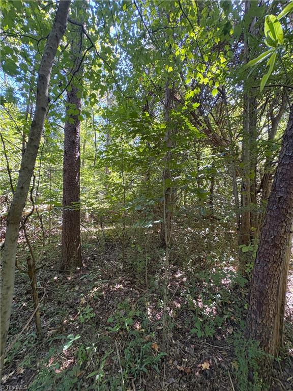 1193 Pleasant Ridge Road