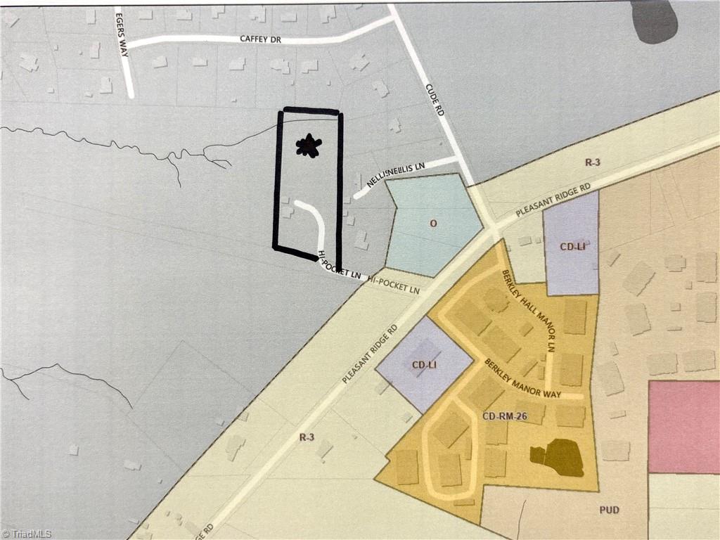 1193 Pleasant Ridge Road