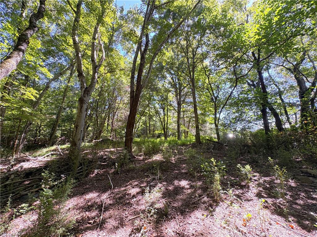 1193 Pleasant Ridge Road