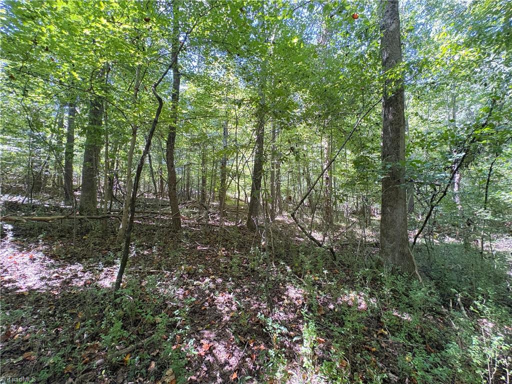 1193 Pleasant Ridge Road