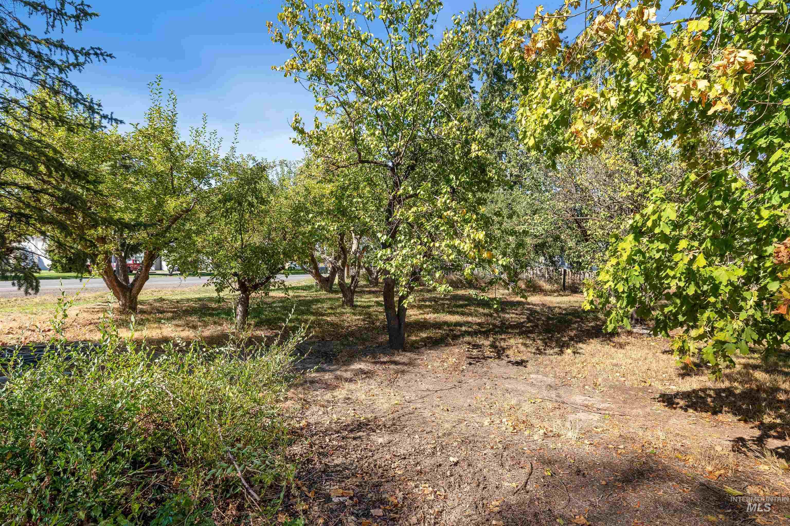 1339 S Washington St