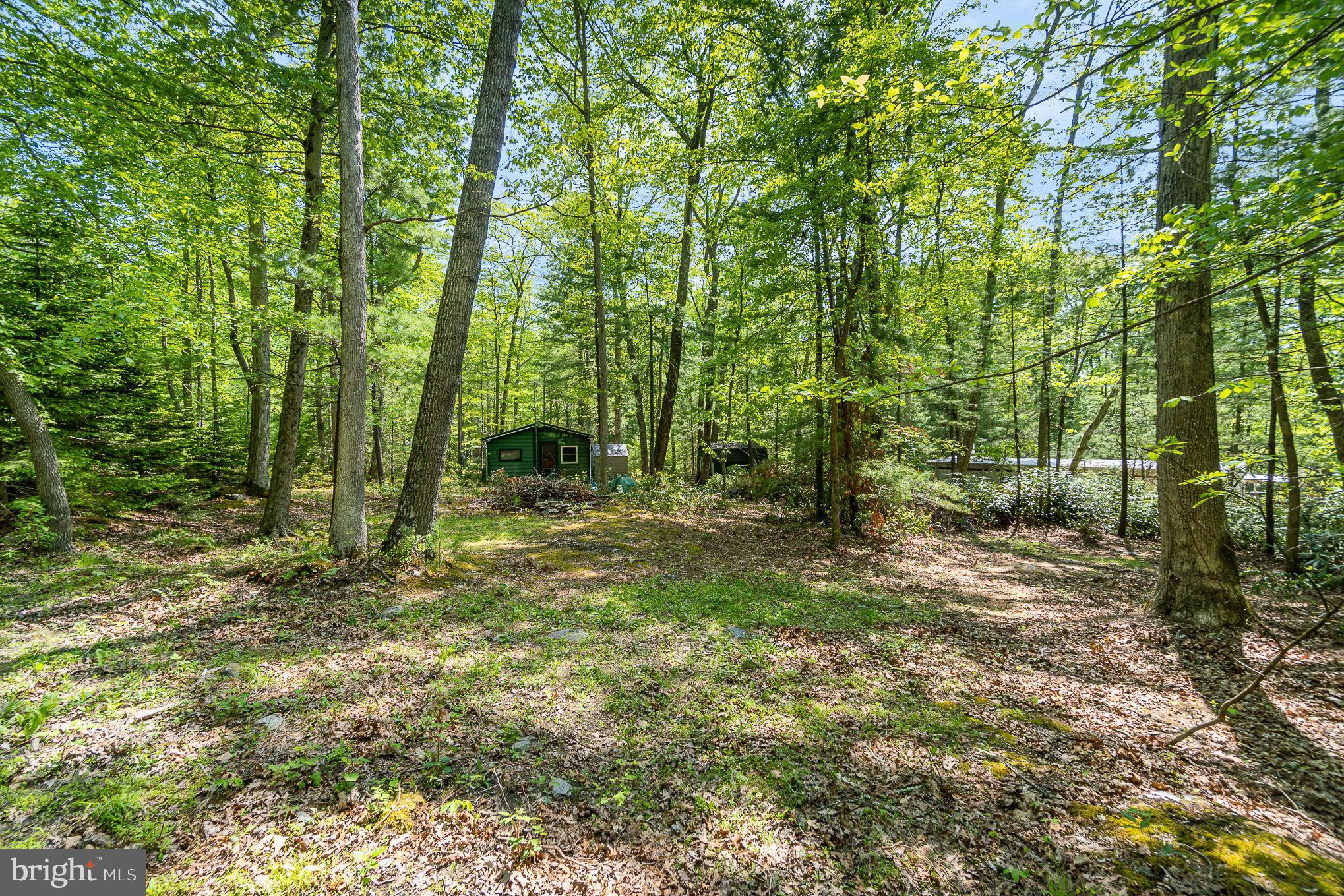 80 Pine Tree Trl