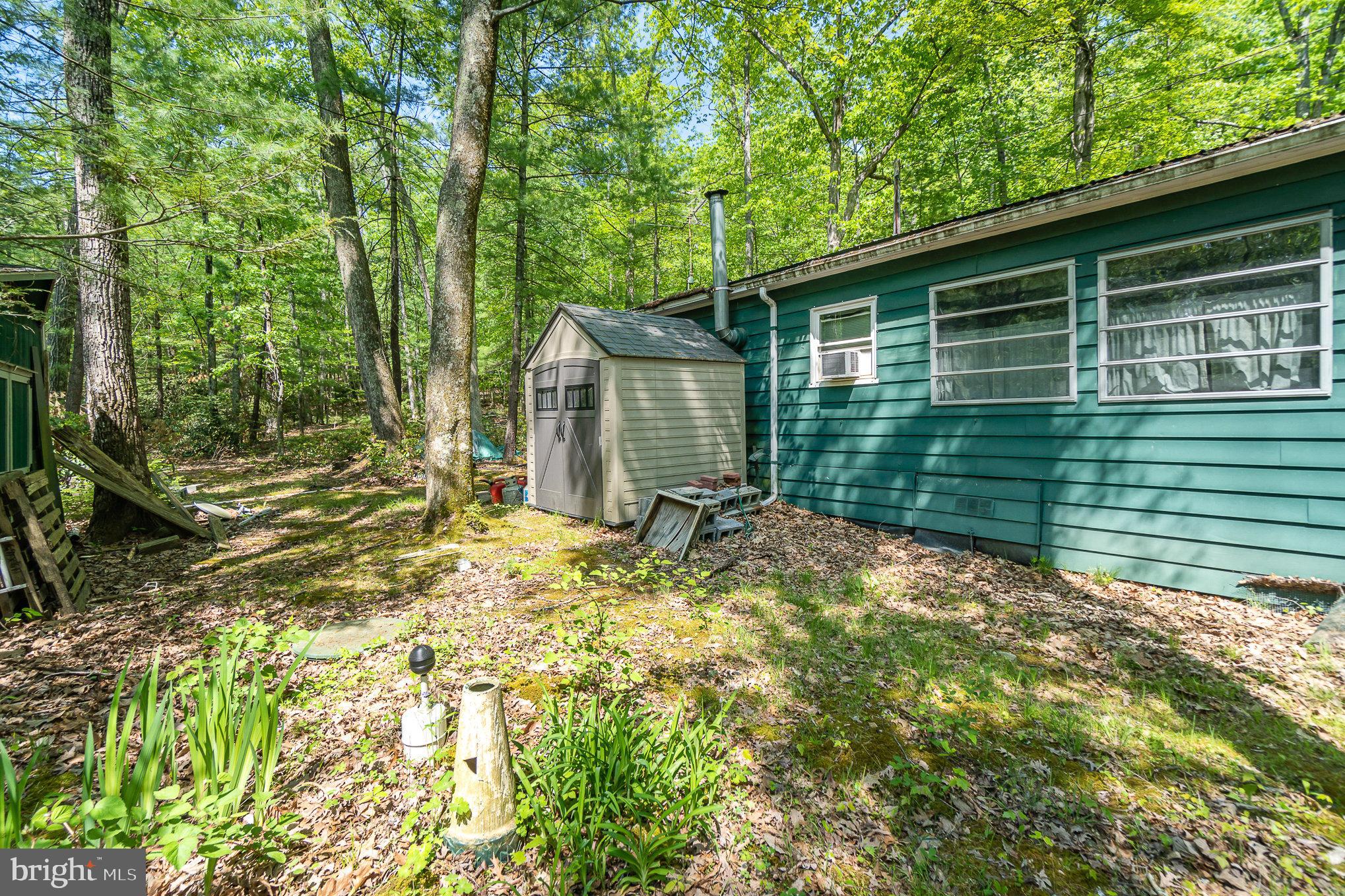 80 Pine Tree Trl