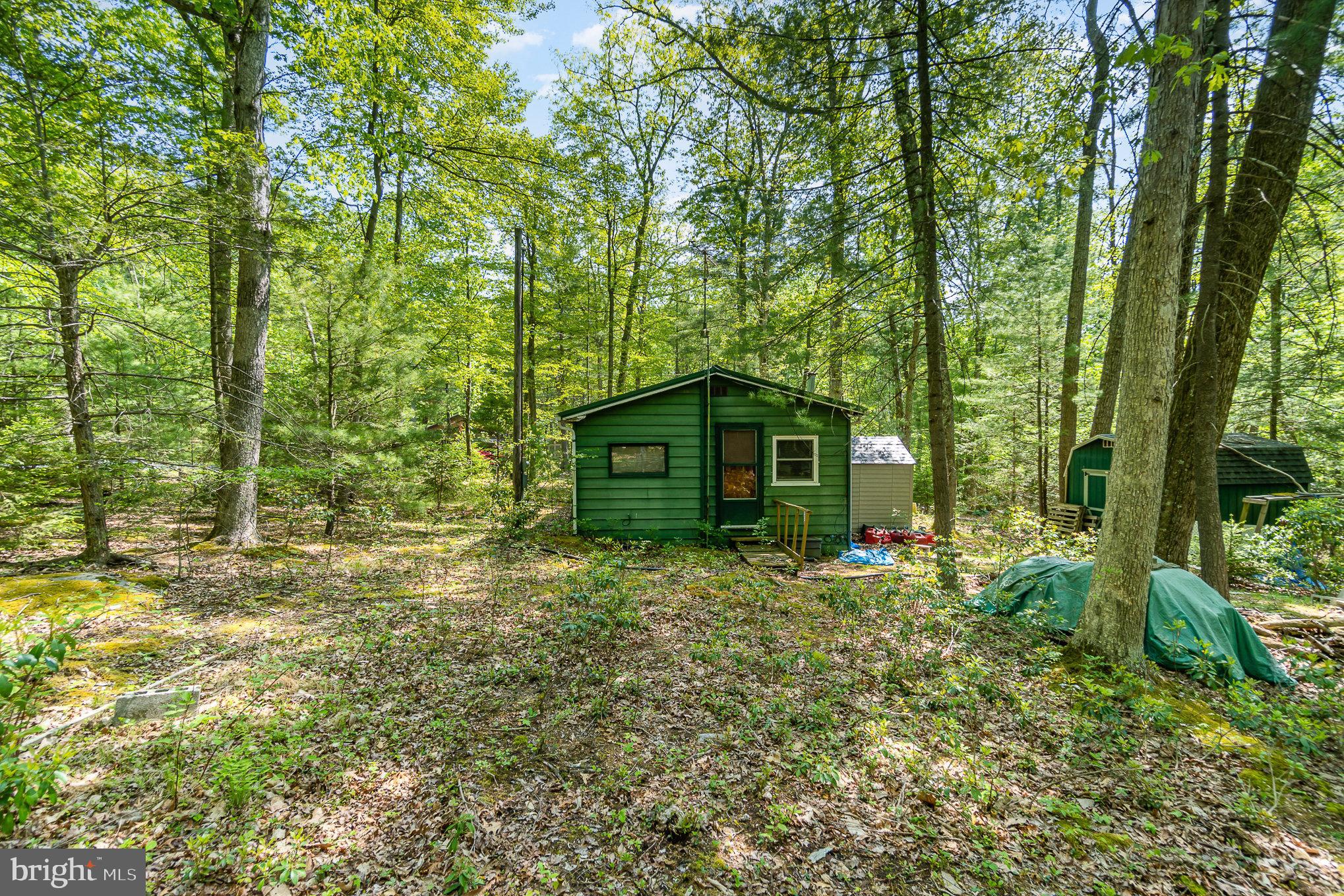 80 Pine Tree Trl