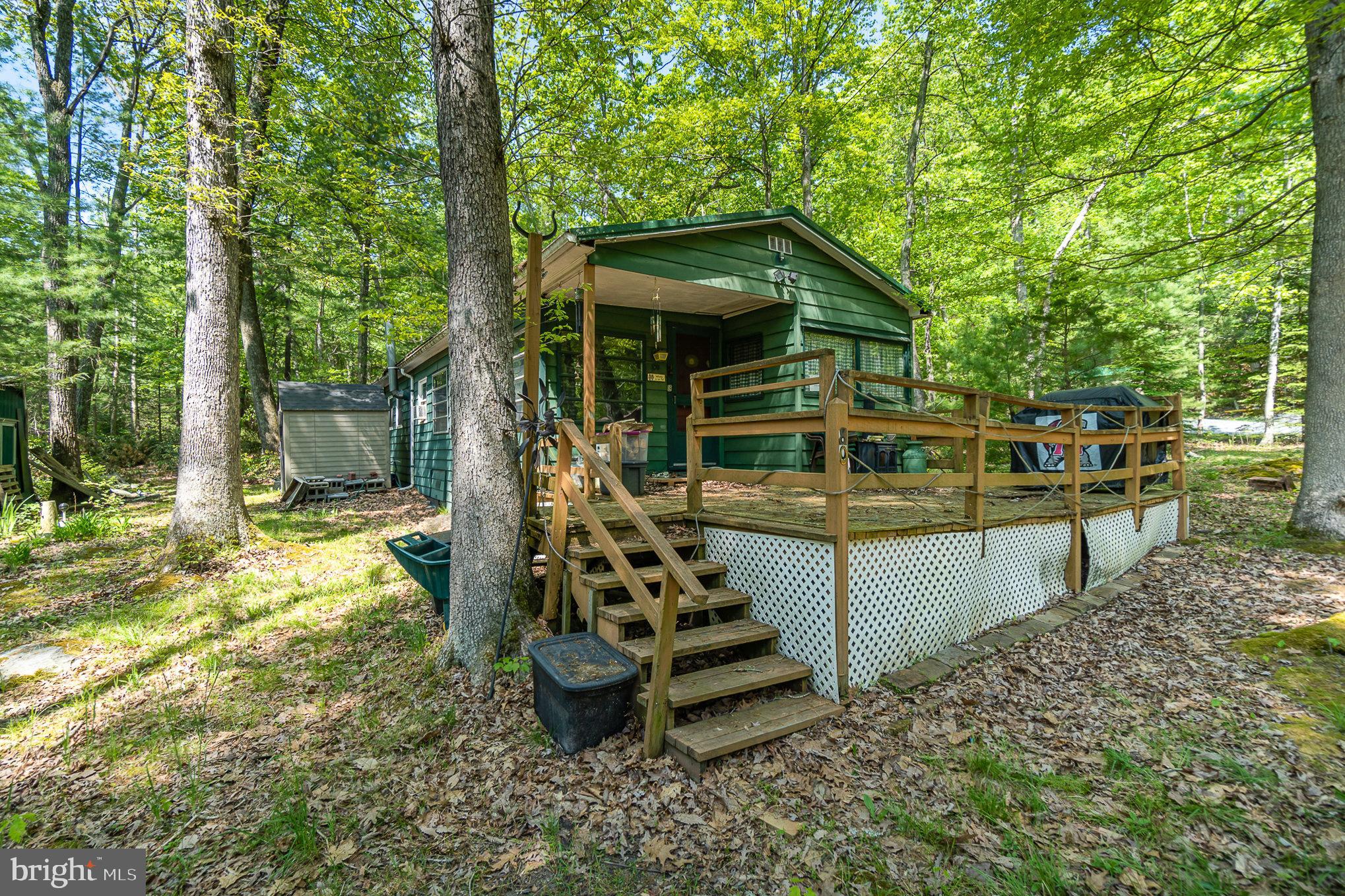 80 Pine Tree Trl