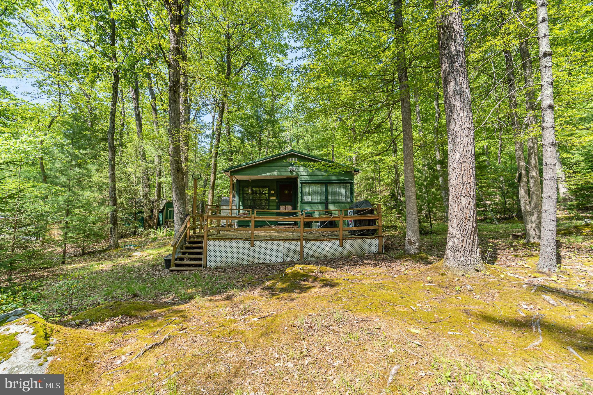 80 Pine Tree Trl