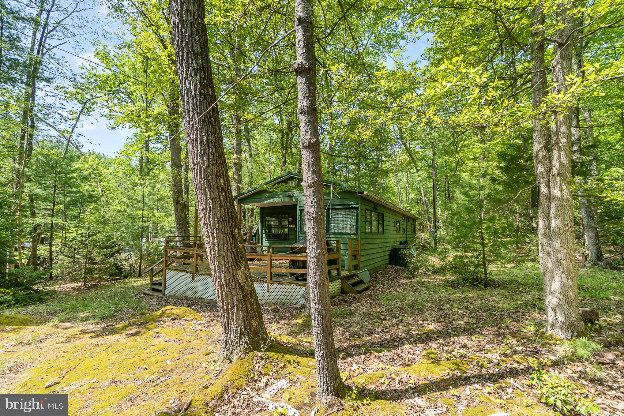 80 Pine Tree Trl