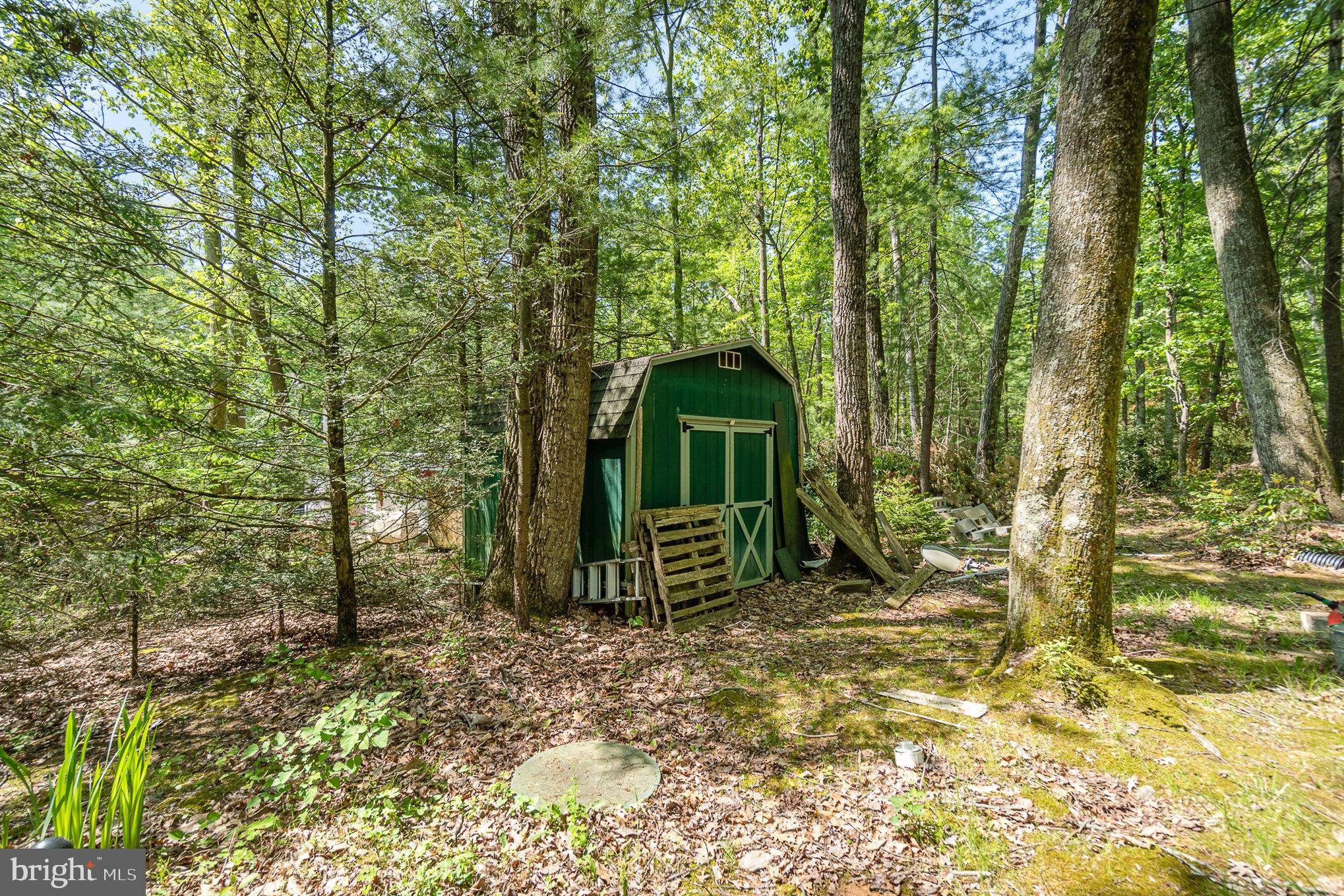 80 Pine Tree Trl
