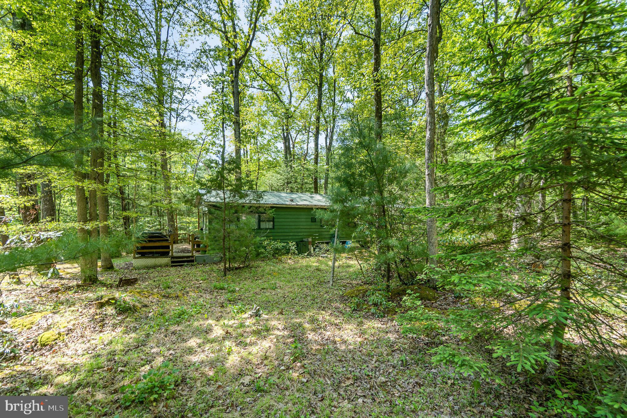 80 Pine Tree Trl