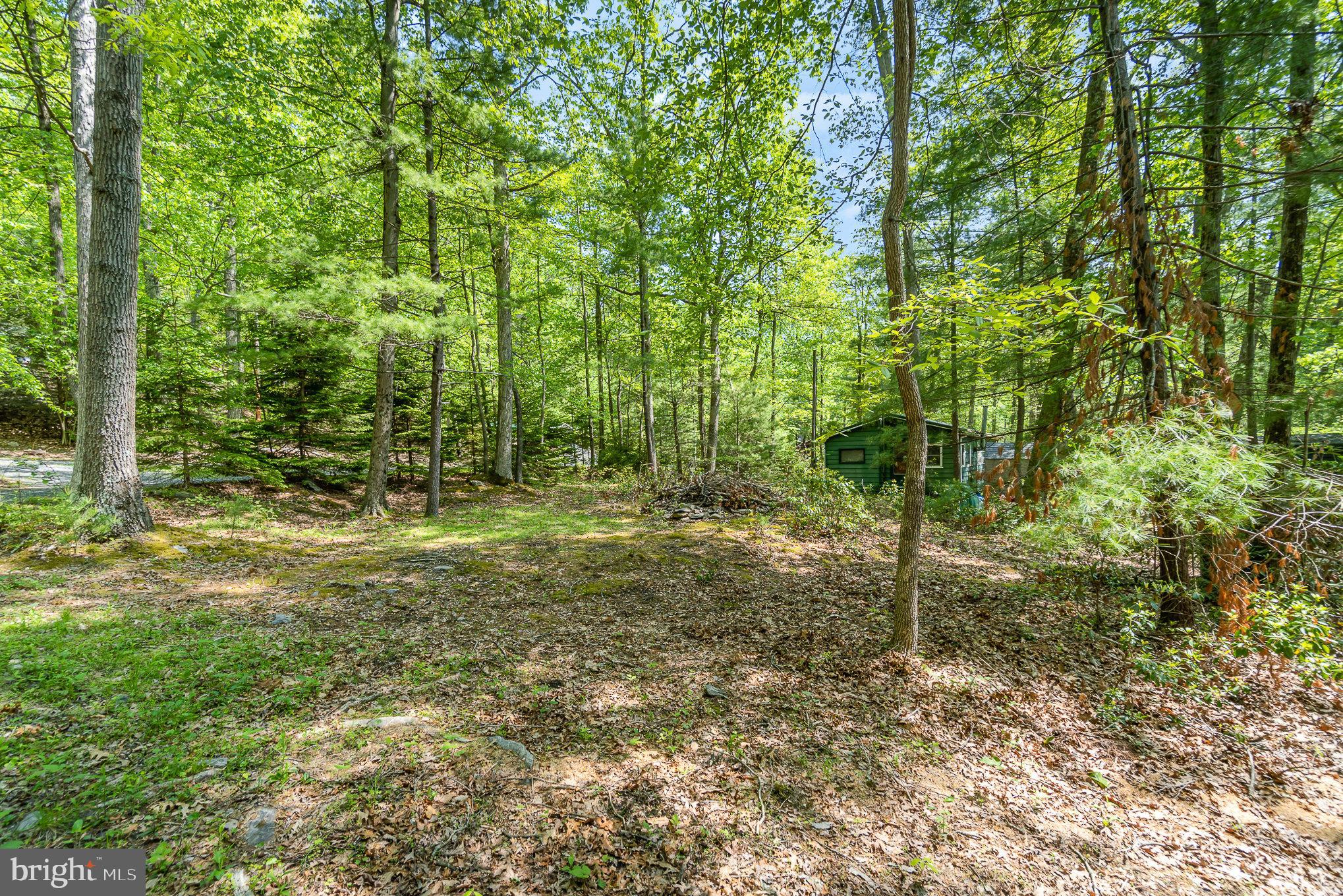 80 Pine Tree Trl
