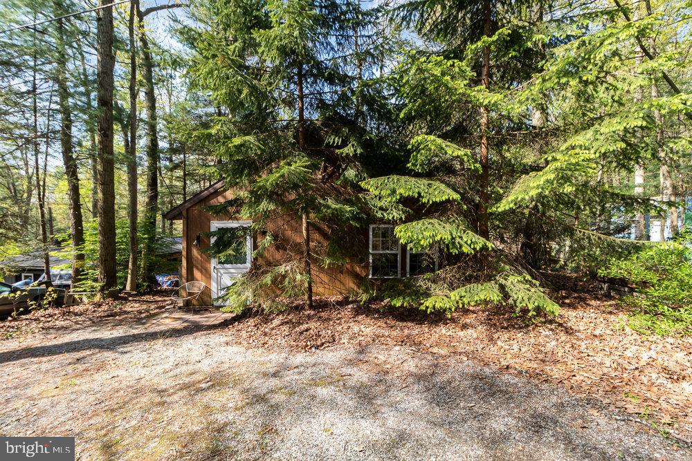 76 PHEASANT TRAIL