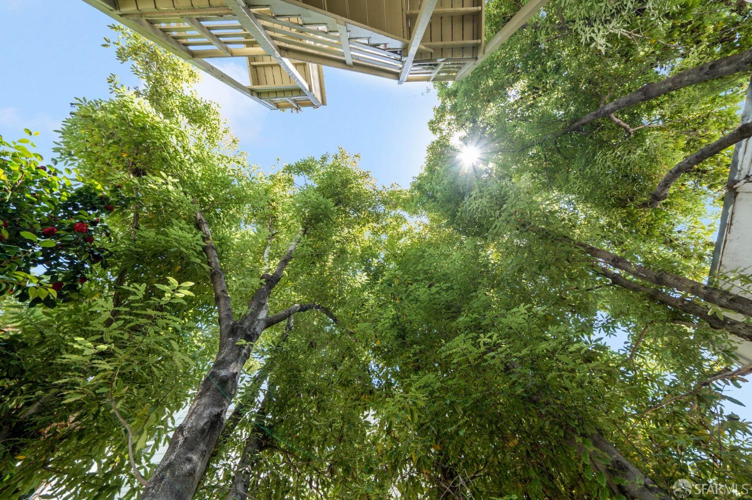 743 Minna Street # A