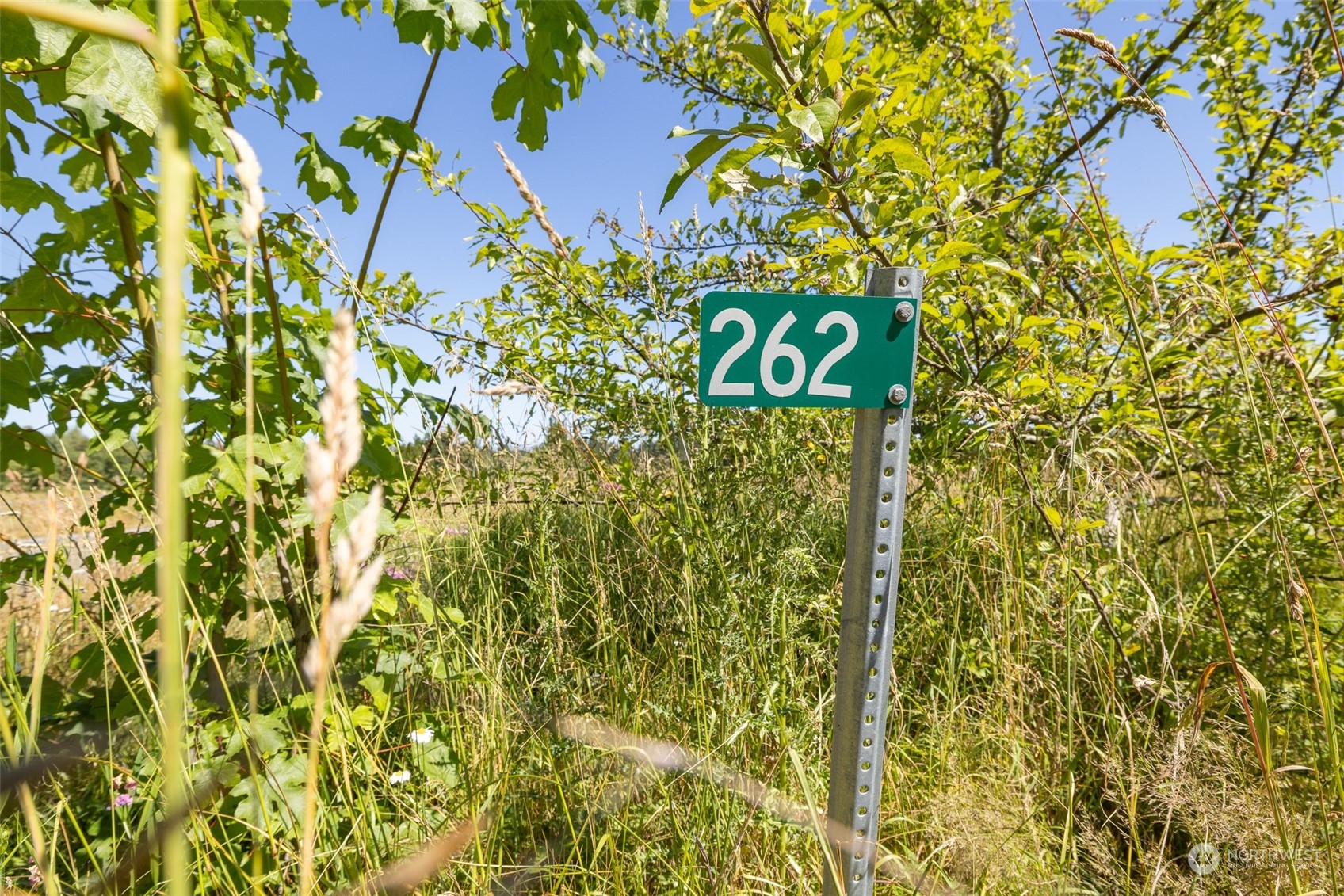 262 Laird Road