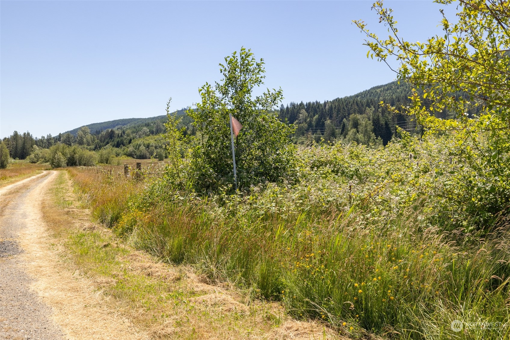 262 Laird Road