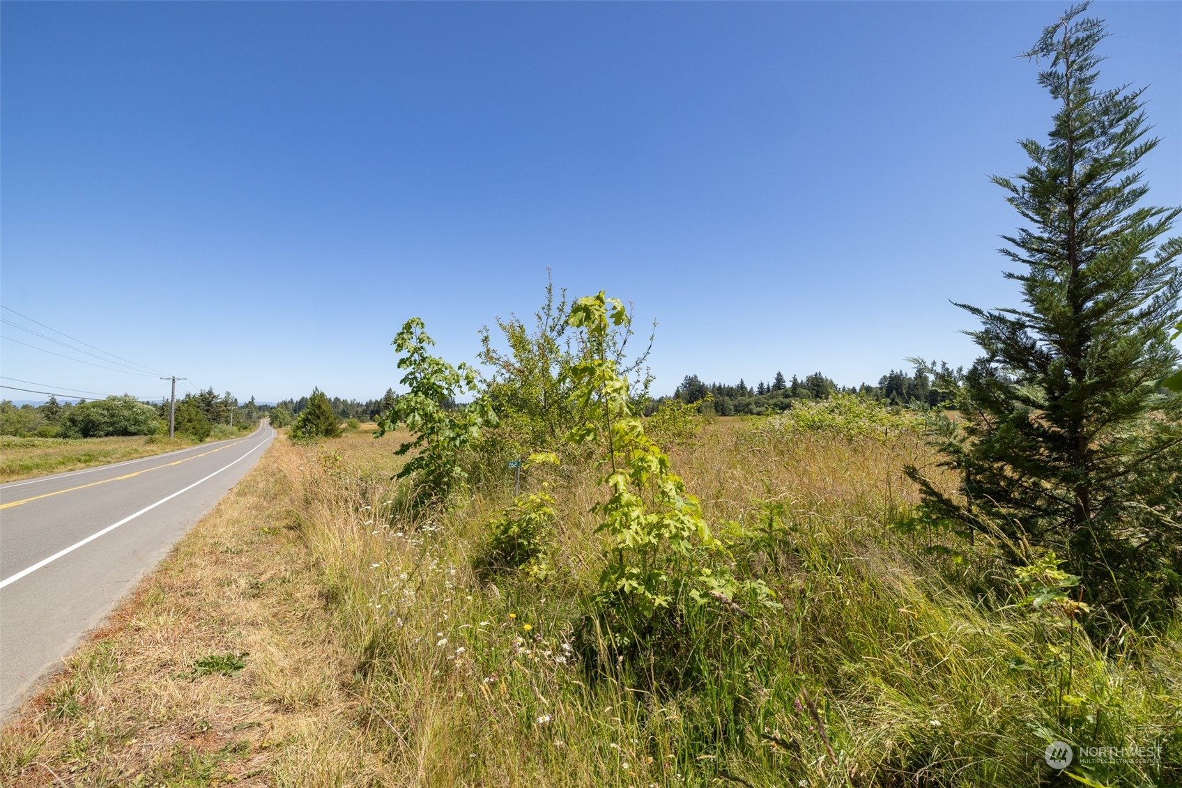 262 Laird Road