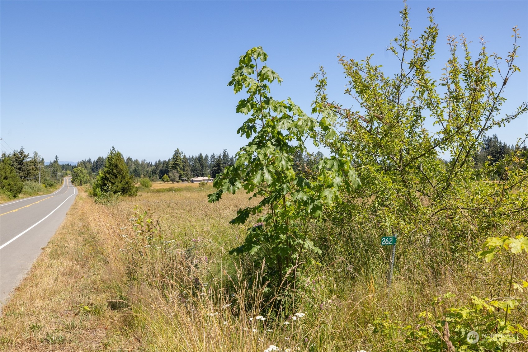 262 Laird Road