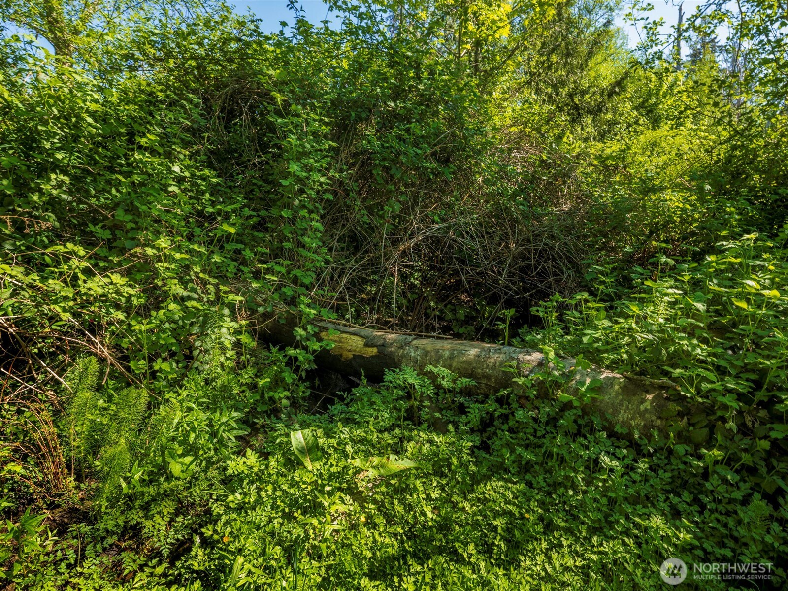 274192 E Hwy 101