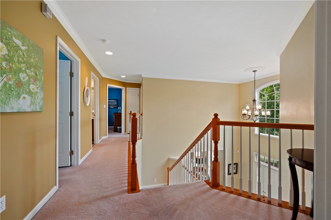 1135 Balkan Drive