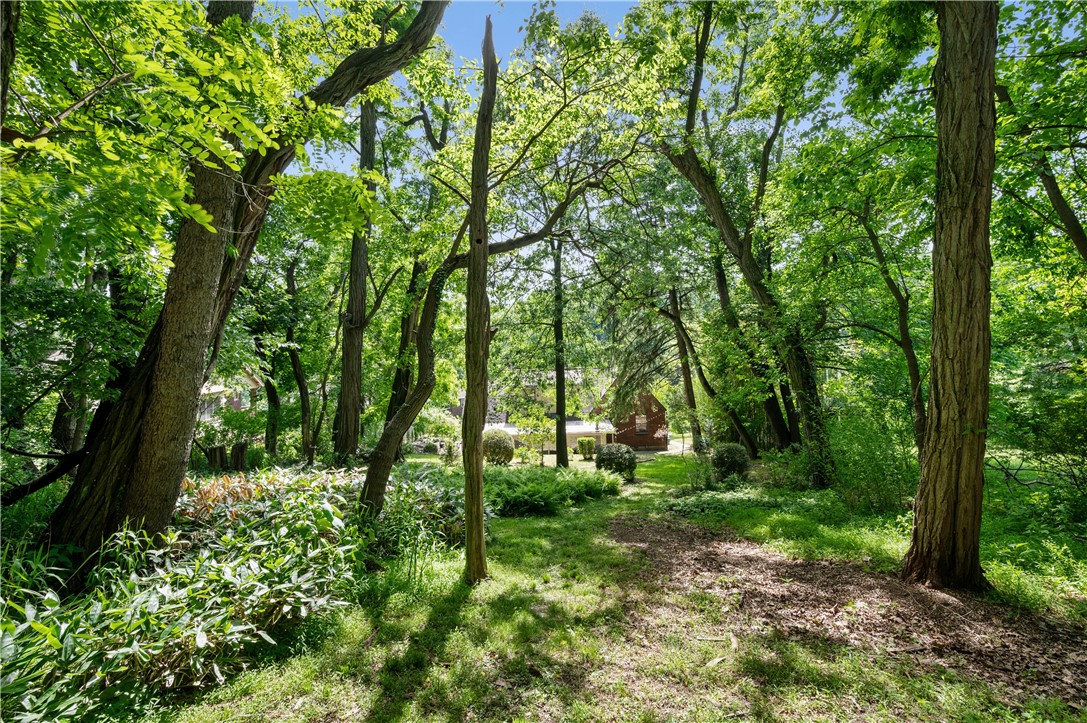 115 Elmore Road