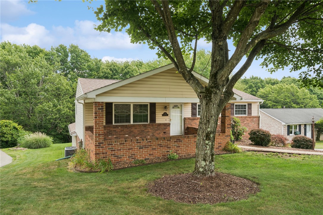 221 David Drive