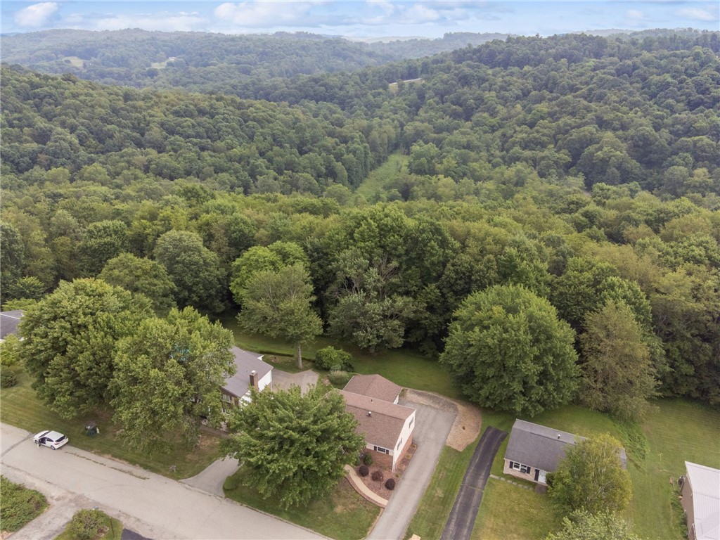 221 David Drive