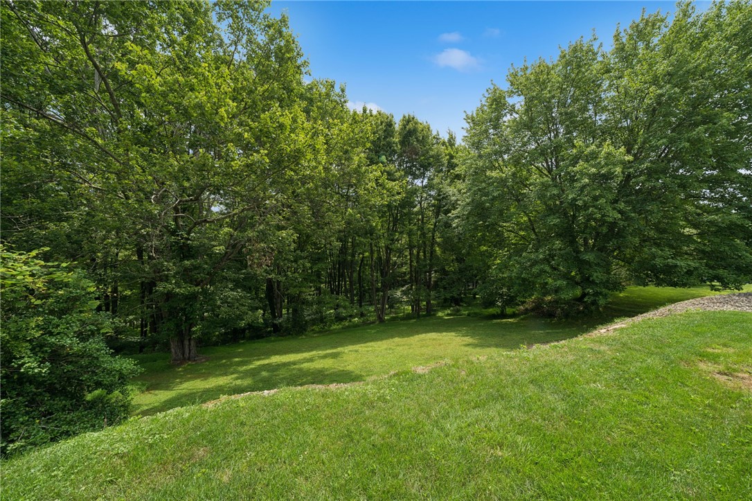 221 David Drive