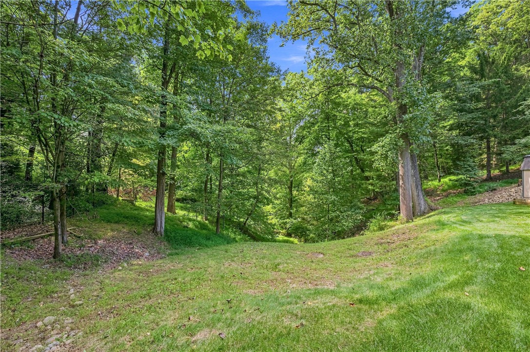 1364 Hillsdale Drive