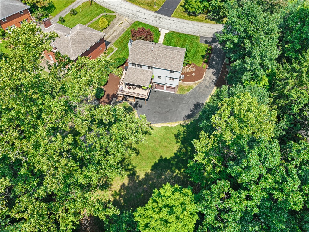 1364 Hillsdale Drive
