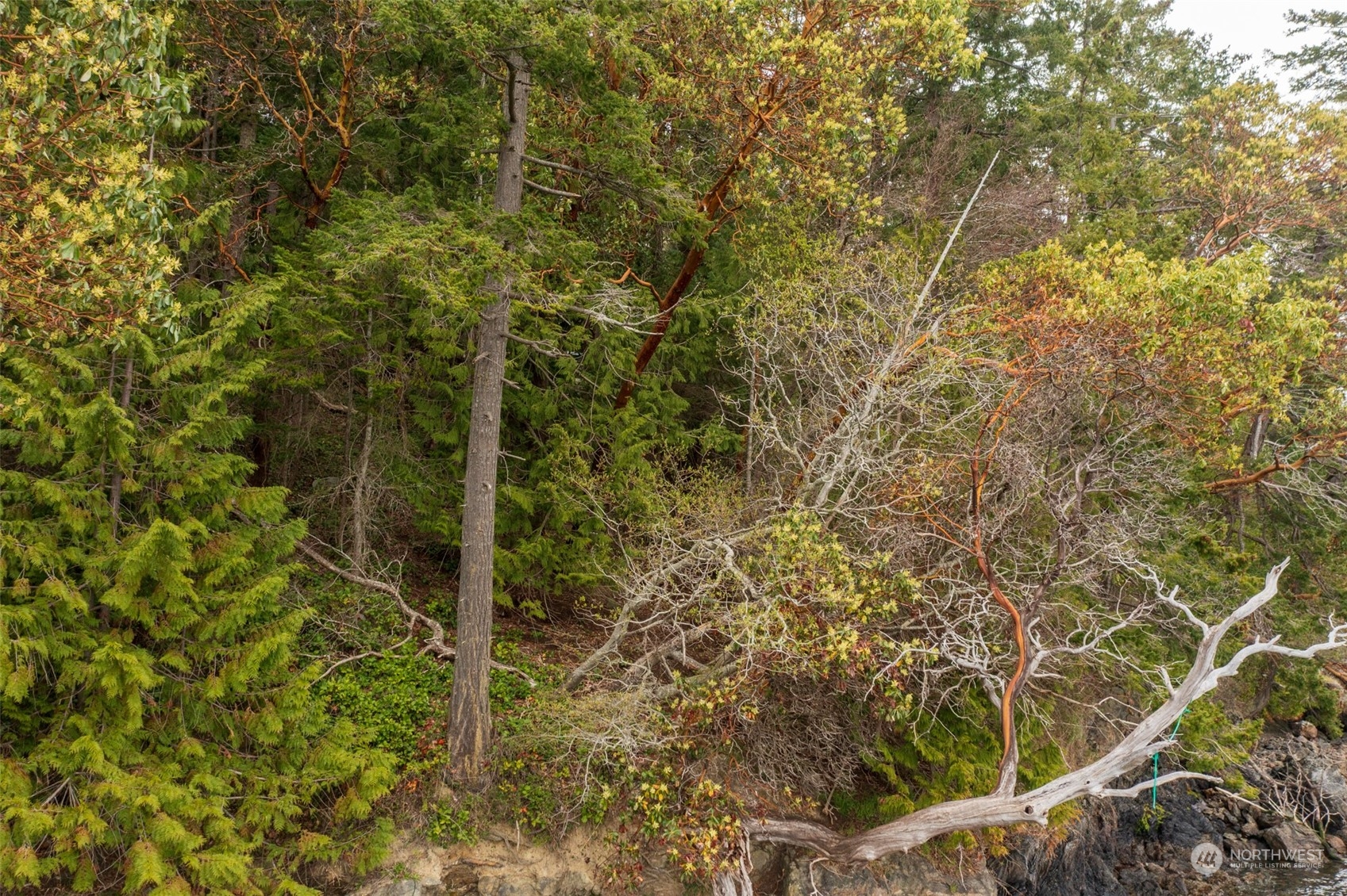 0 XX Spring Point Road